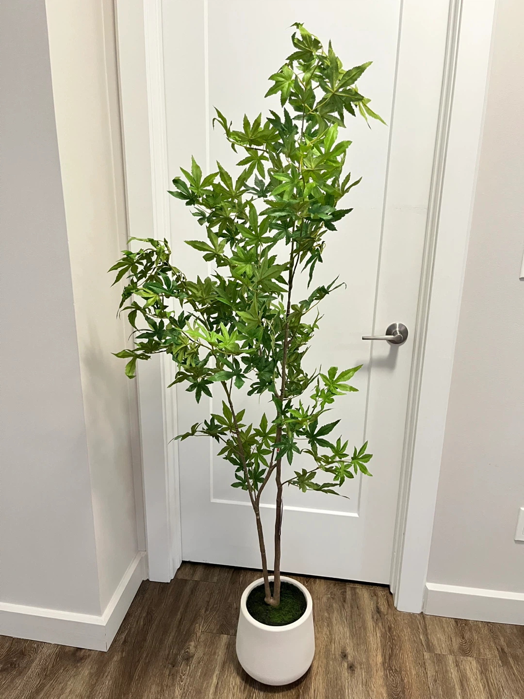 Artificial Maple Tree Plant in White Pot