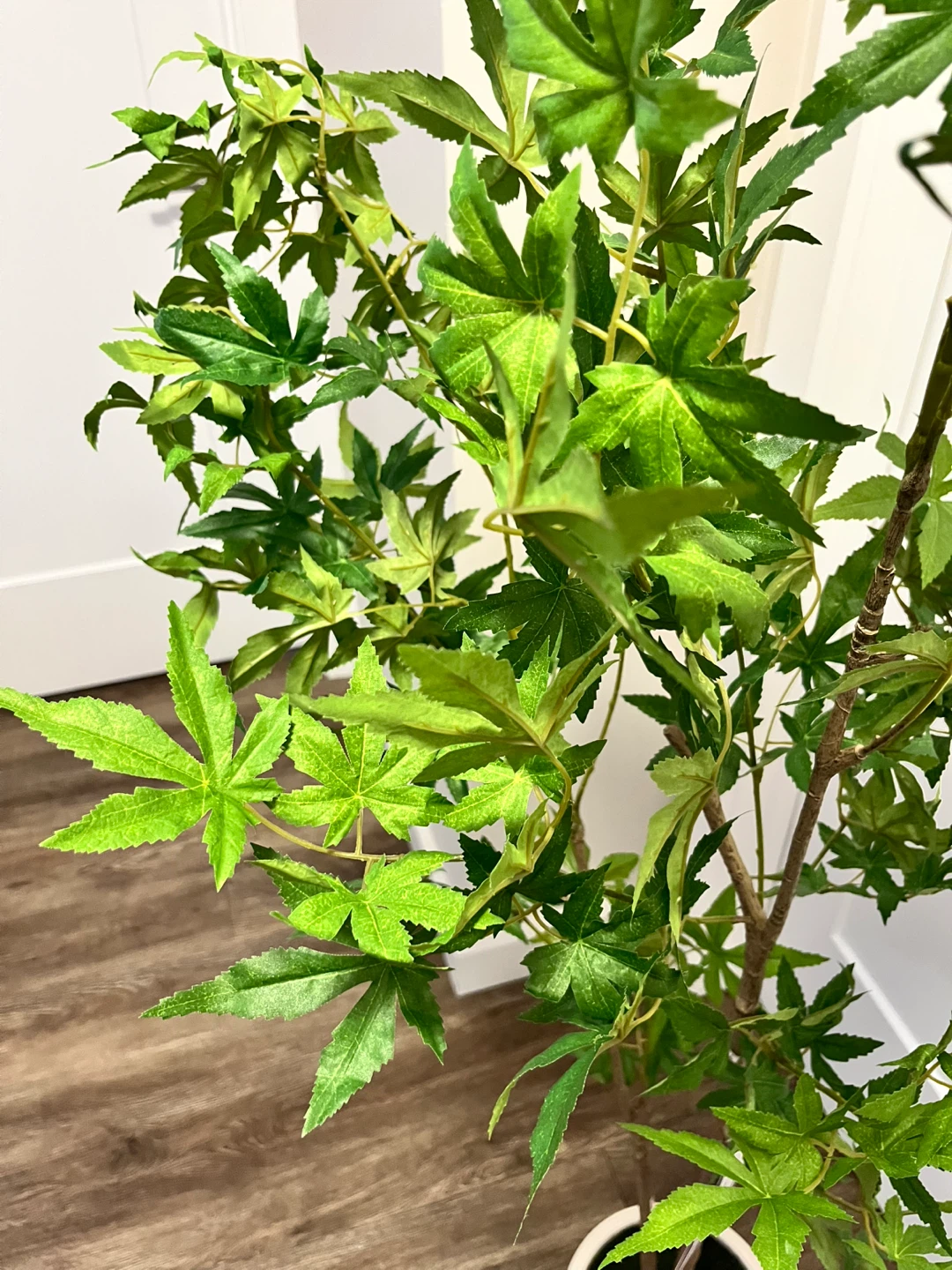 Artificial Maple Tree Plant in White Pot - photo 3