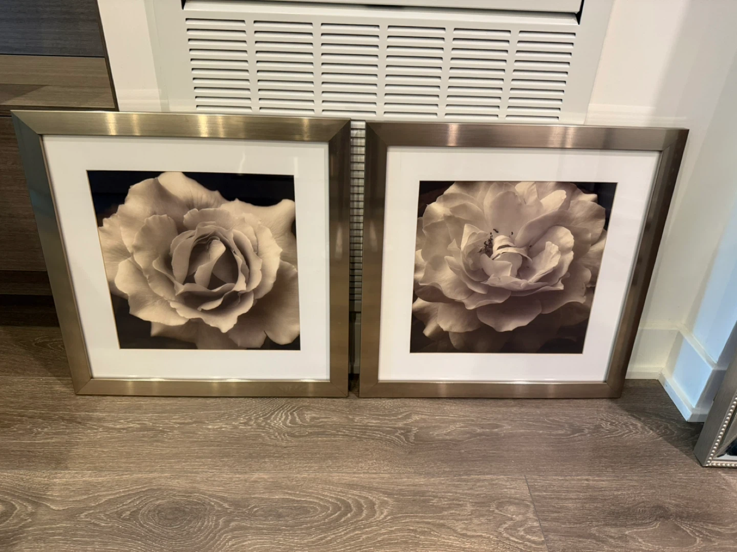 Set of 2 Framed Rose Art Prints