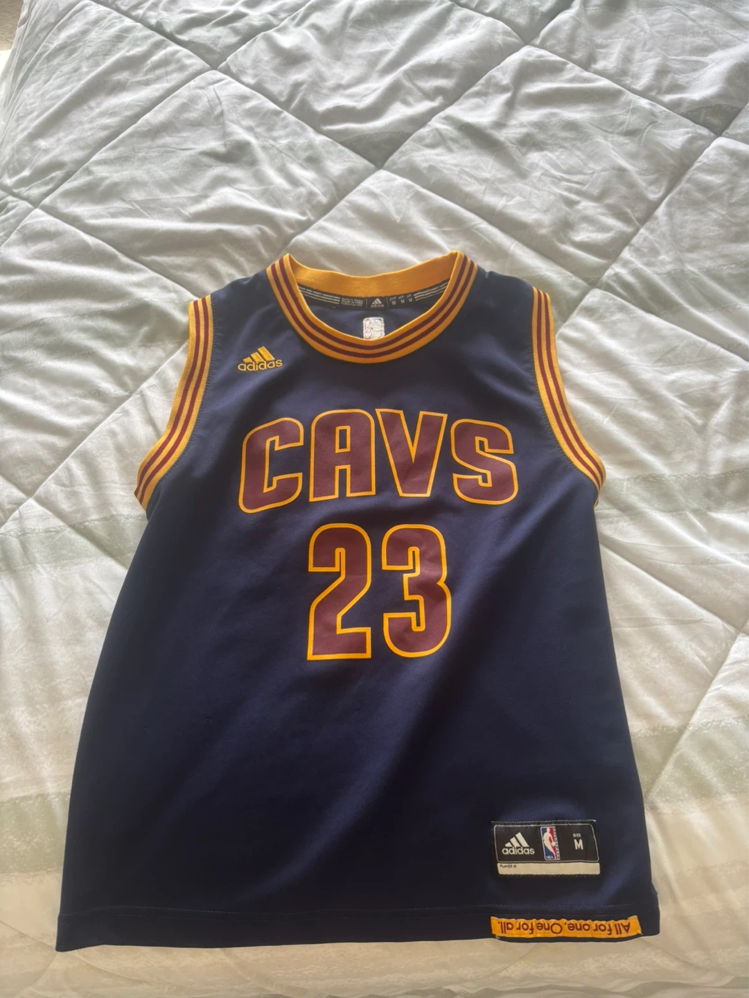 LeBron James Cavaliers jersey