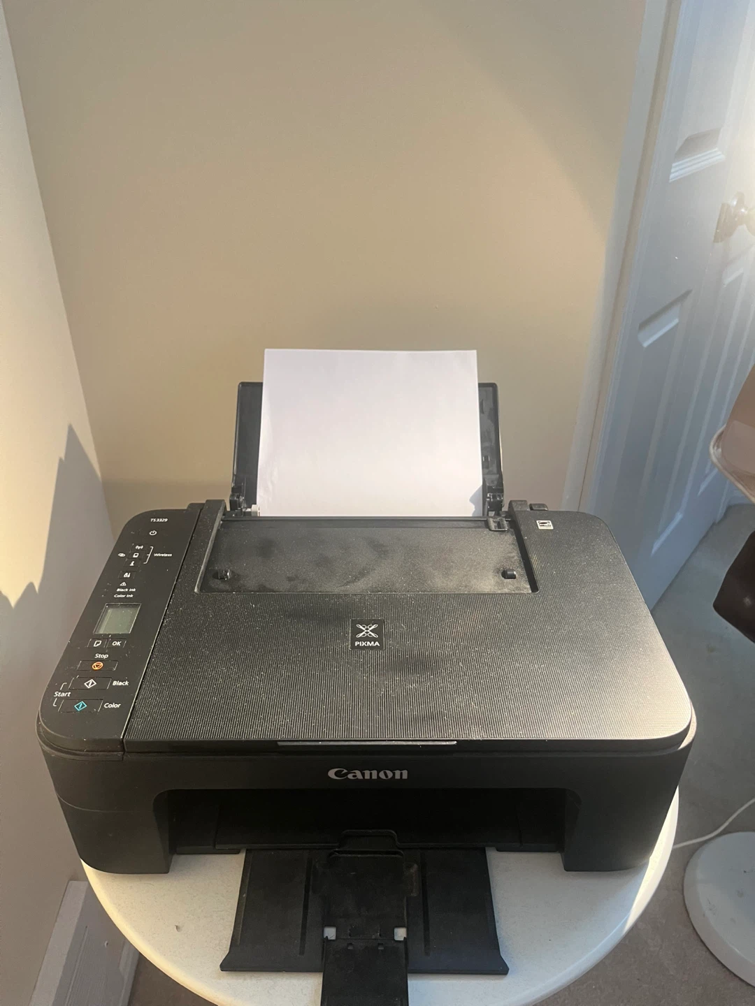 Canon Printer & 2 Pack 245XL Black Ink Cartridges