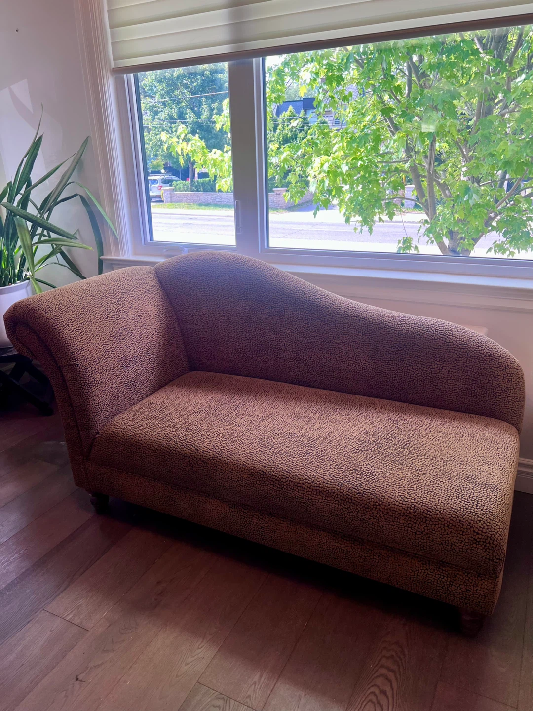 Stylish Chaise Lounge