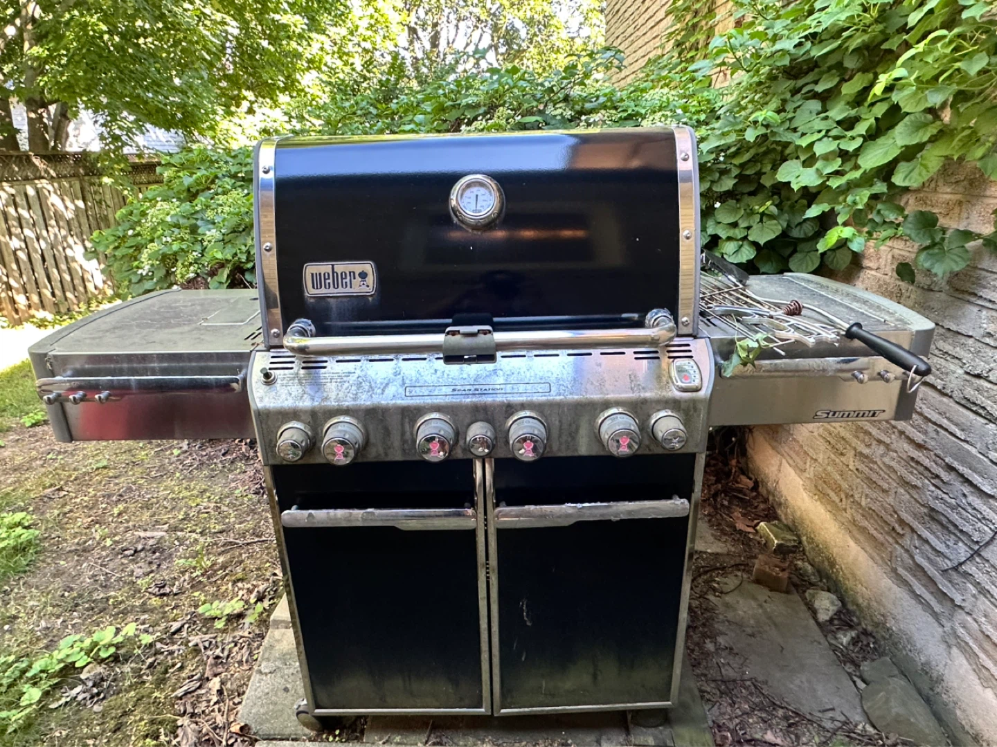 Weber summit Premium BBQ Grill