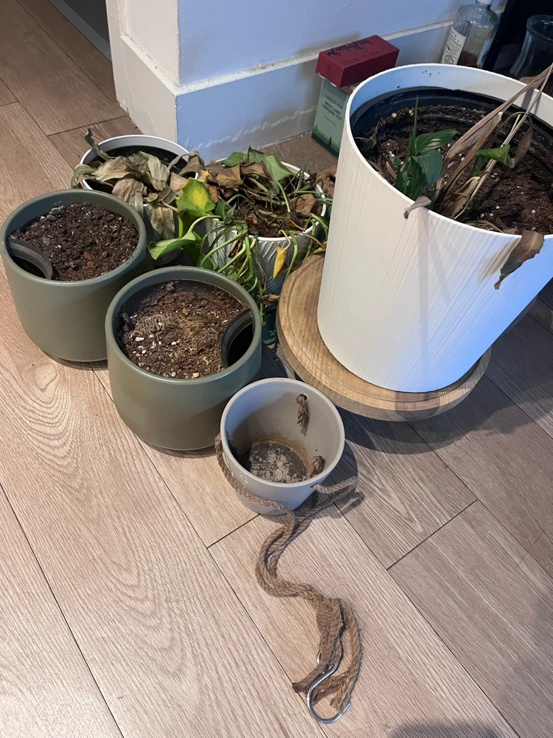 Assorted Plant Pots