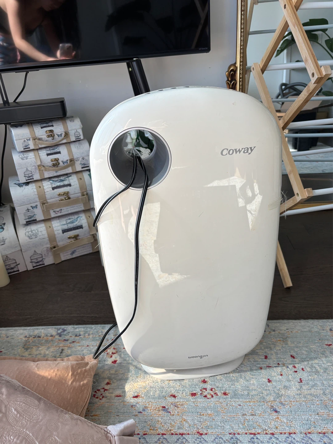 Coway Air Purifier AP-1009CH