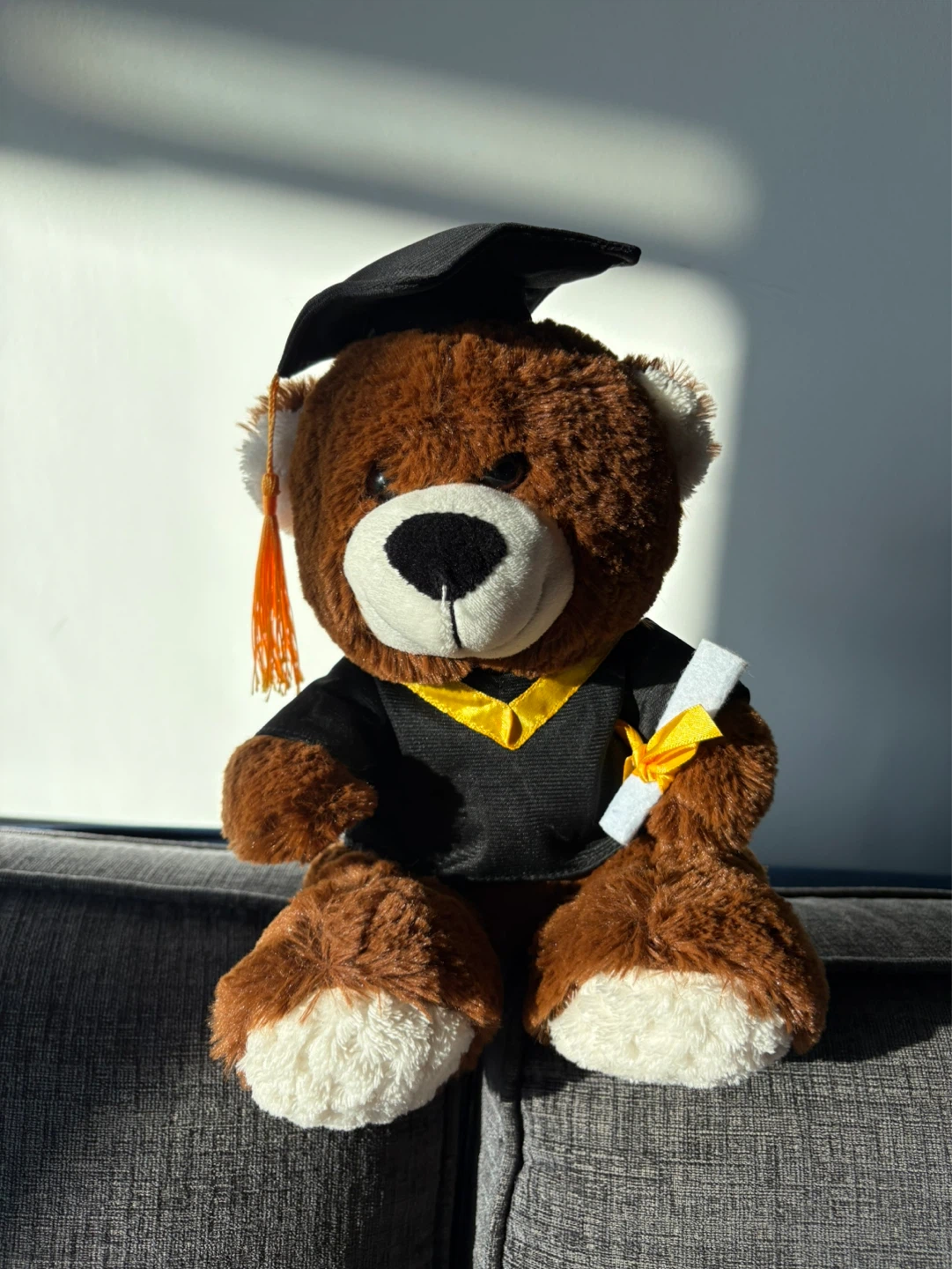 Graduation Teddy