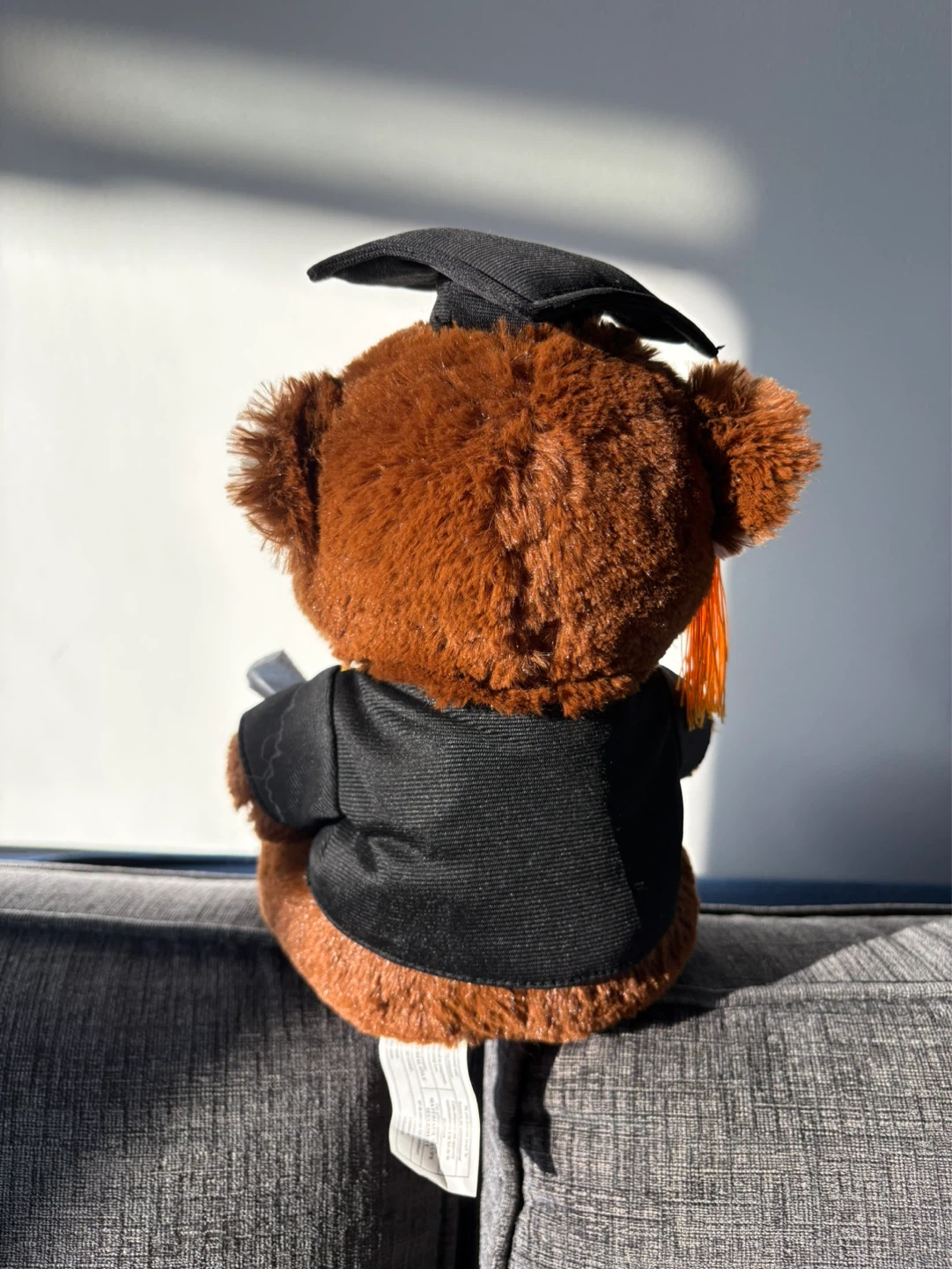 Graduation Teddy - photo 2