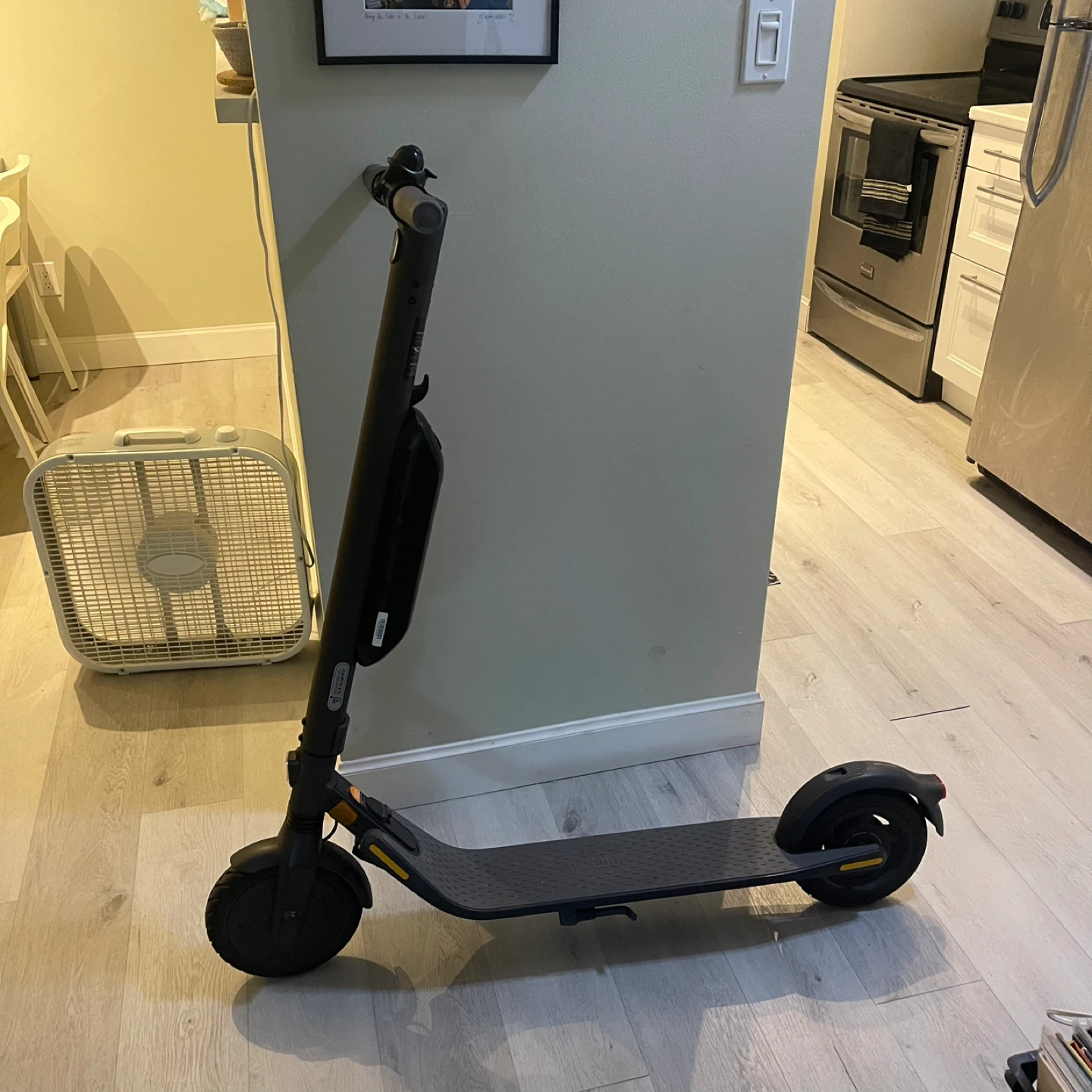 Segway Ninebot Electric Scooter