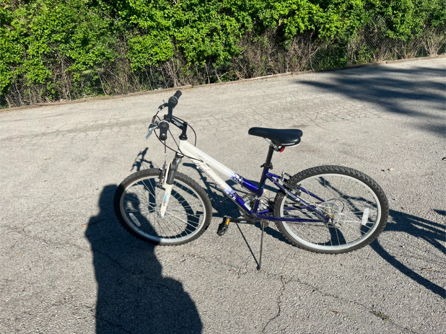 Alpine Cycles Bicycle
