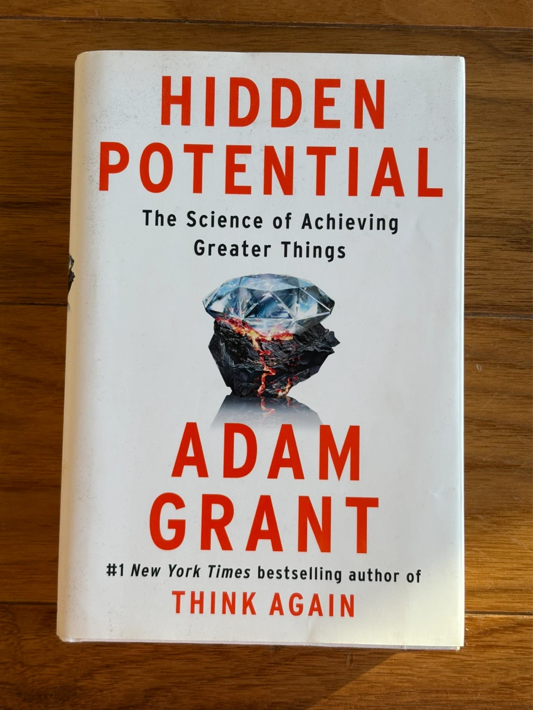 Hidden Potential by Adam Grant Book