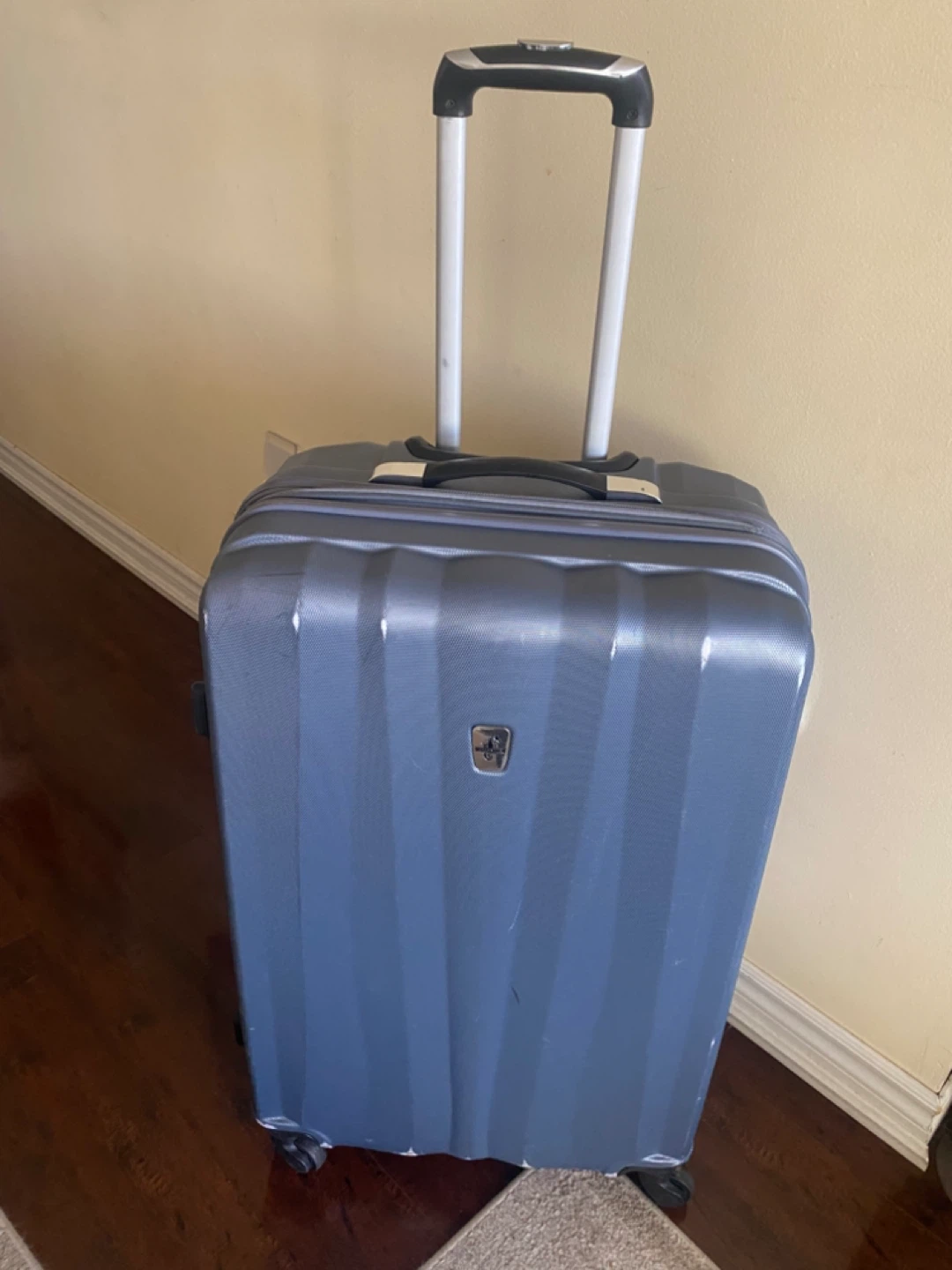 Delsey Luggage Suitcase