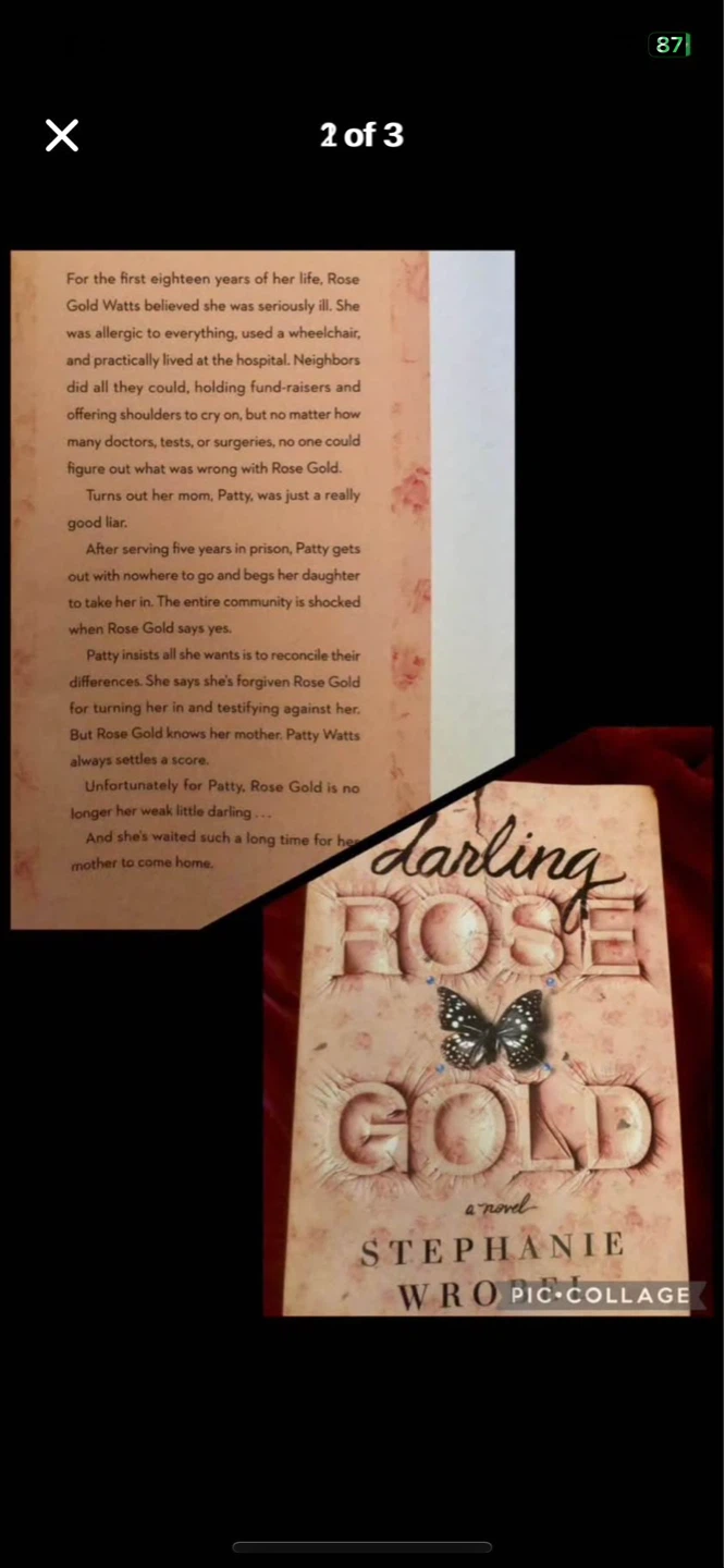Novel 3