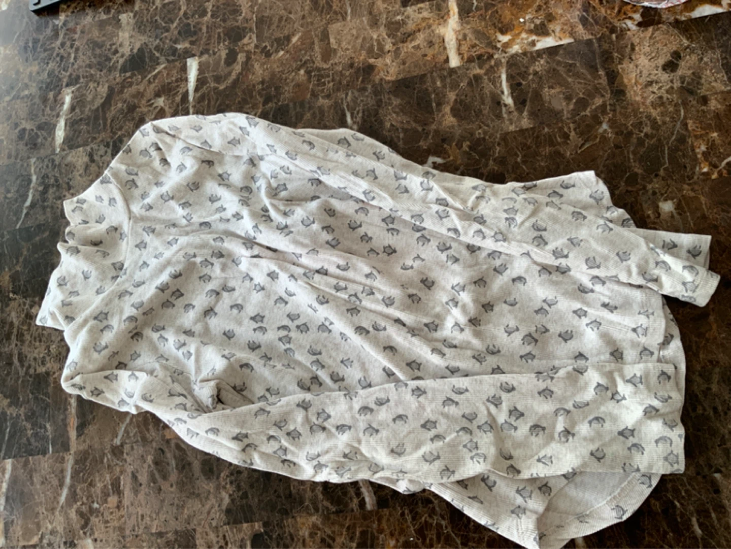 Long Sleeve Top with Animal Print
