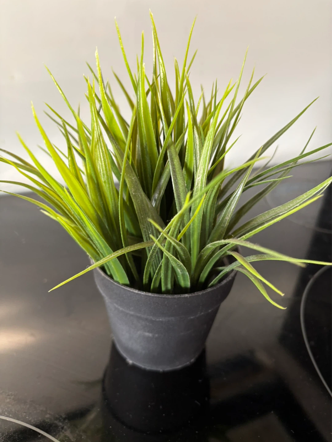 Artificial Grass Plant in Black Pot