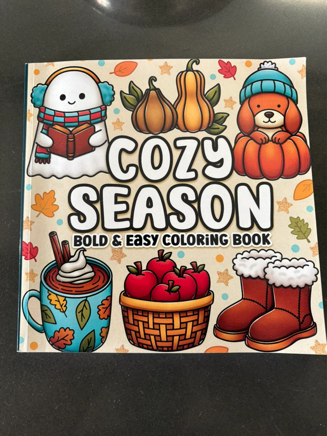 Cozy Season Bold & Easy Coloring Book