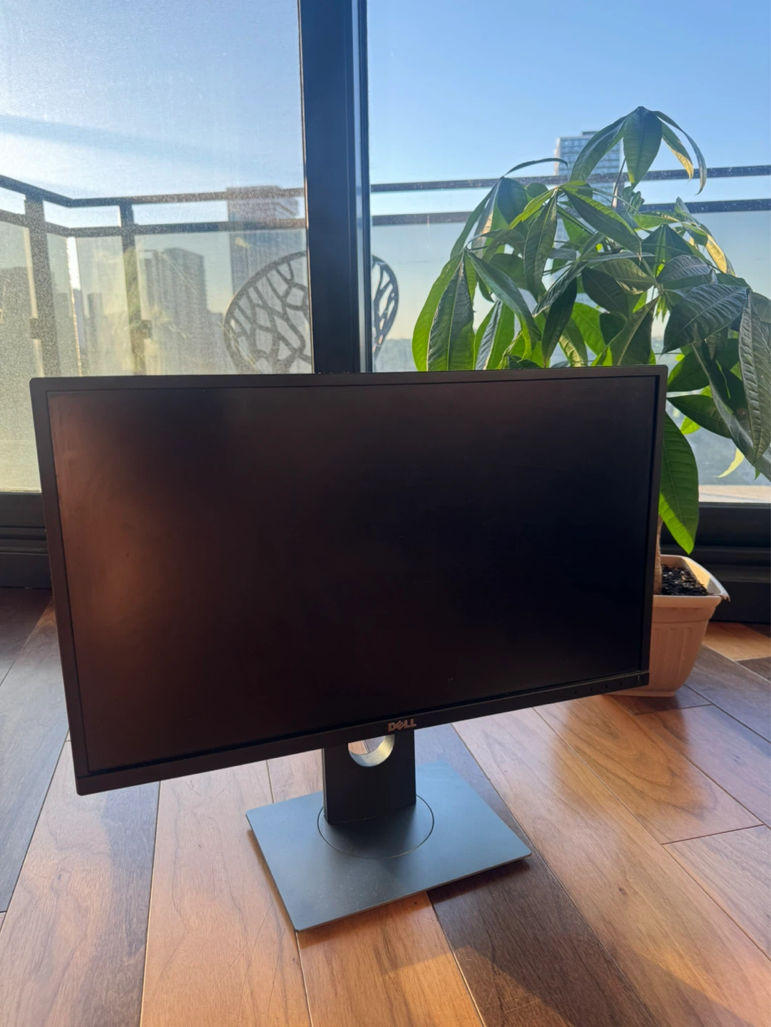 Dell Monitor