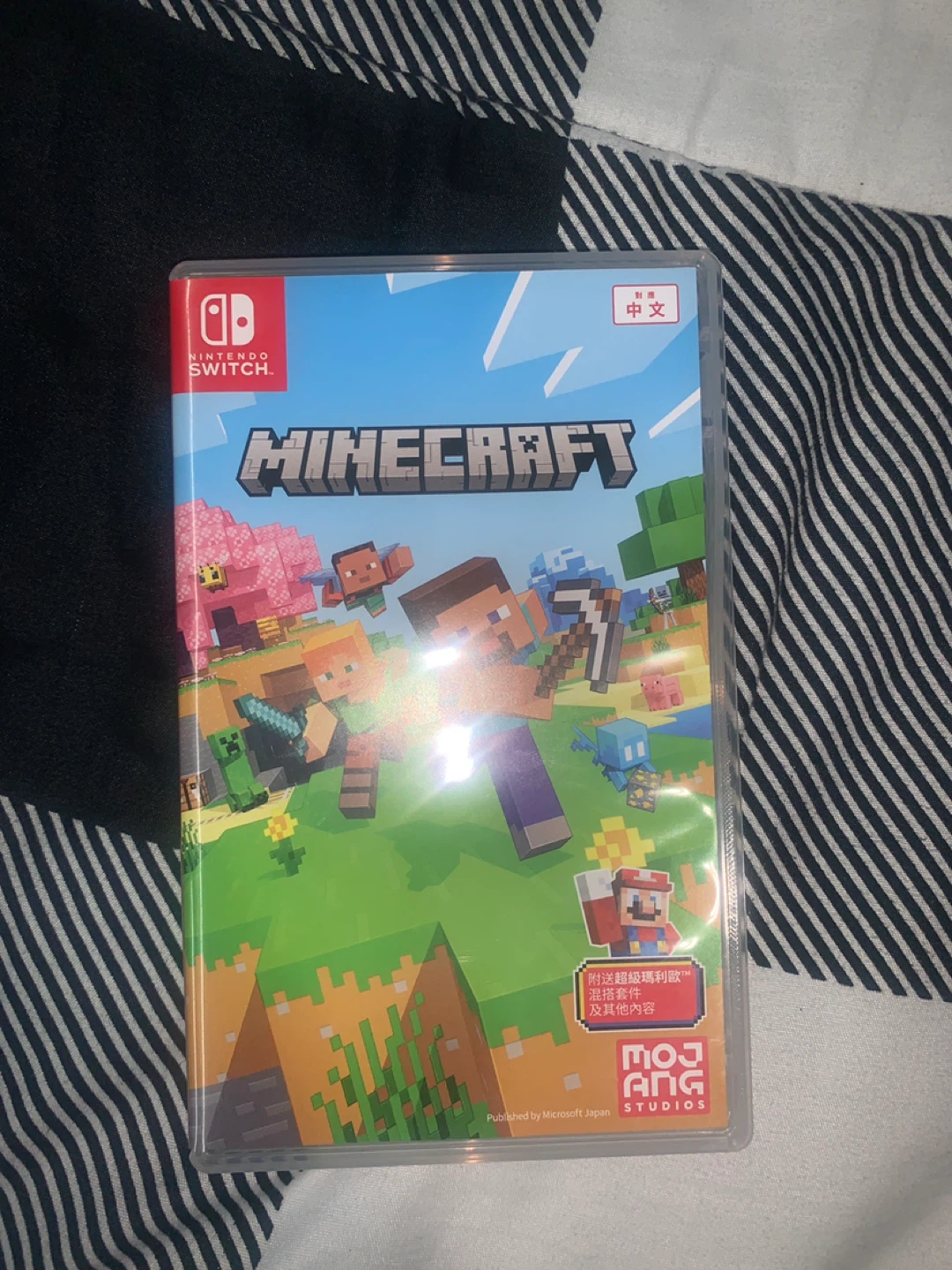 Nintendo Switch Minecraft Game