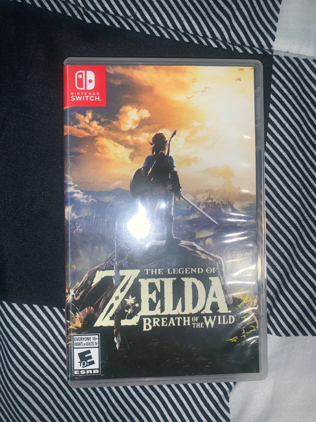 Nintendo Switch The Legend of Zelda: Breath of the Wild Game