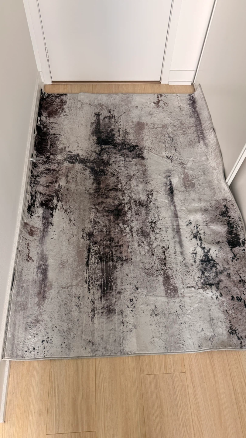 Living room rug 4x6 - photo 2