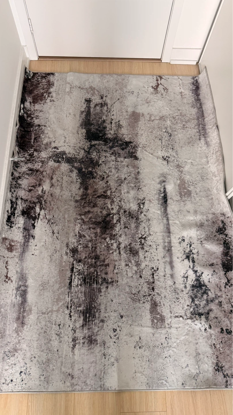 Living room rug 4x6
