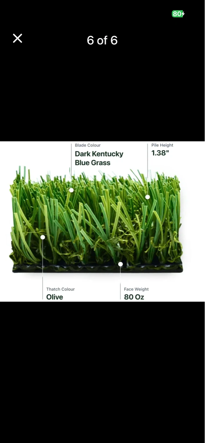 Artificial Grass Turf - Dark Kentucky Blue Grass - photo 3