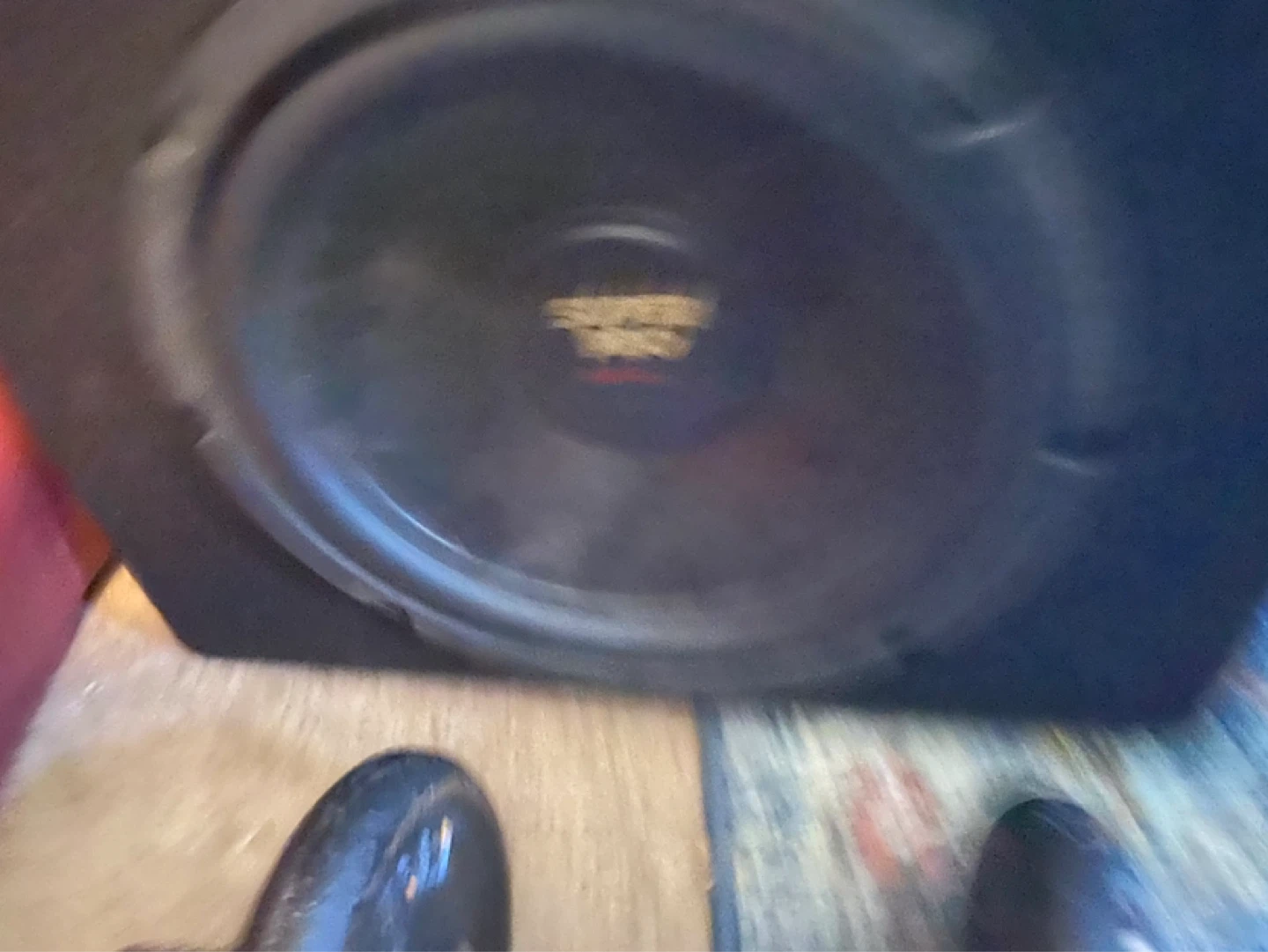 Super Pro 12" Subwoofer - photo 2