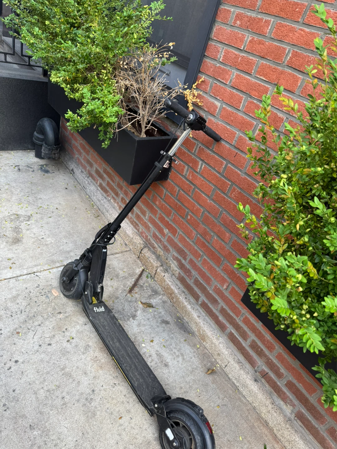 Scooter