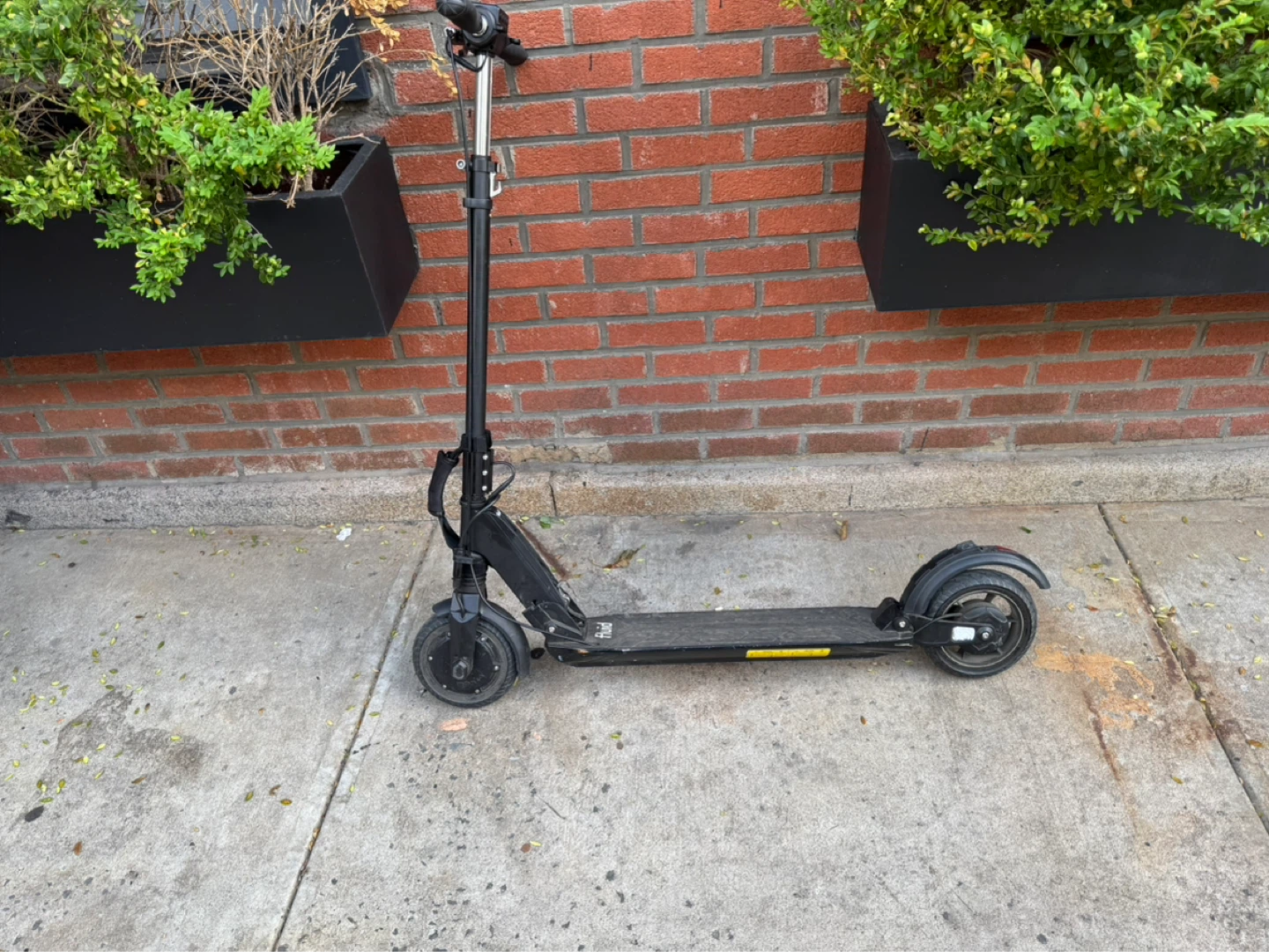 Scooter - photo 3