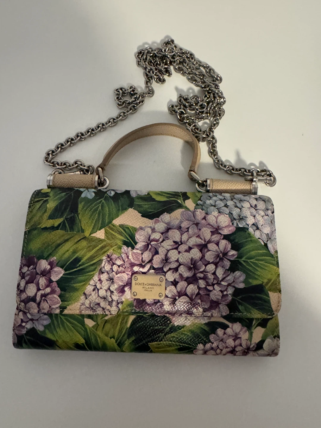 Dolce & Gabbana Floral Wallet Clutch Bag