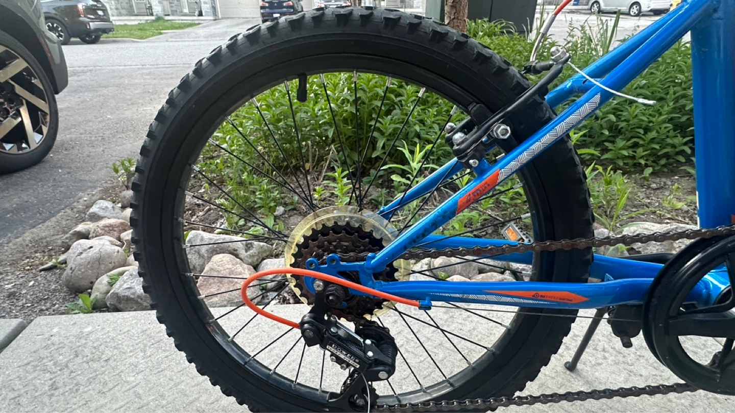 Movelo Algonquin Kids Bike - photo 2