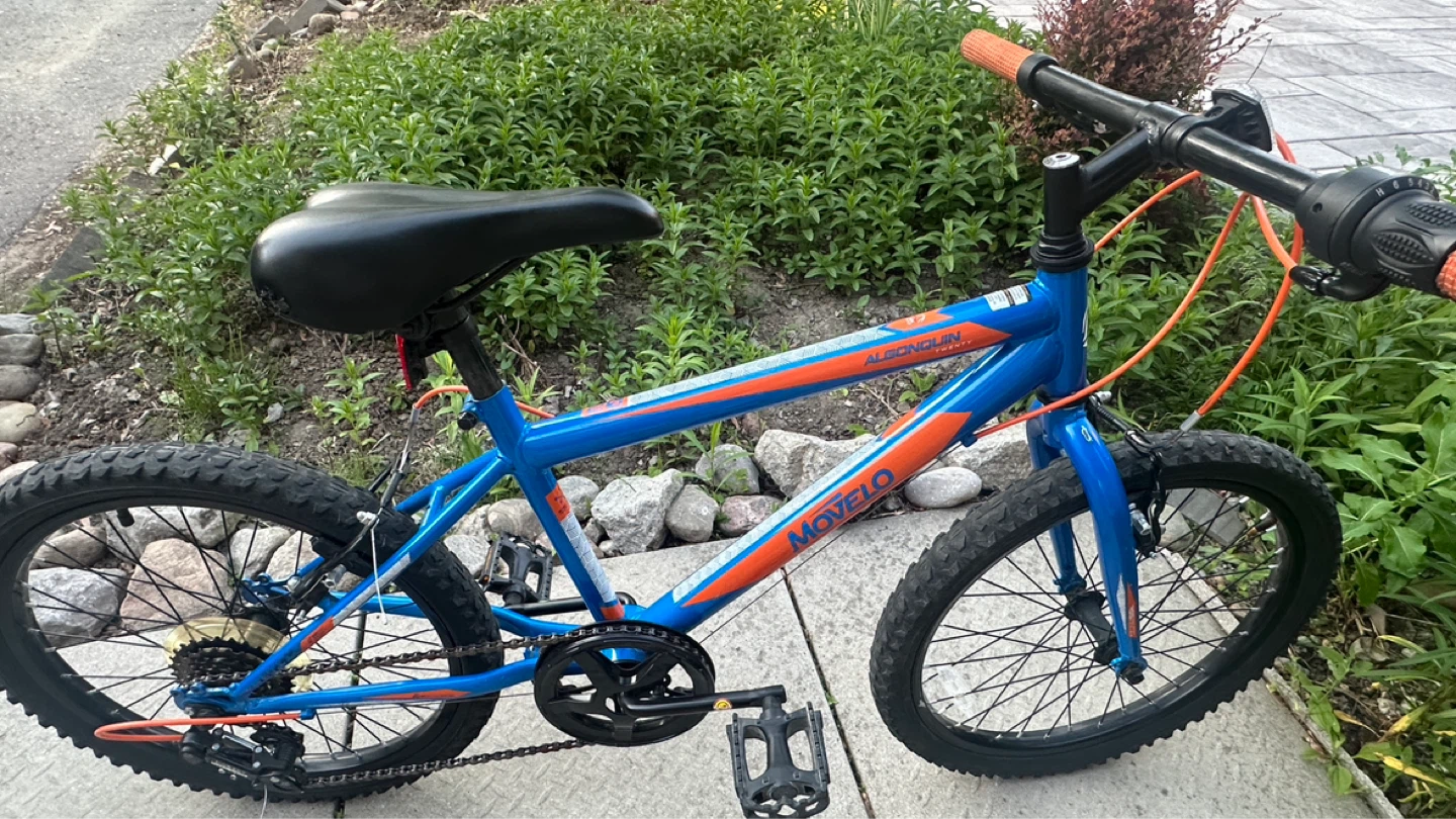 Movelo Algonquin Kids Bike - photo 3