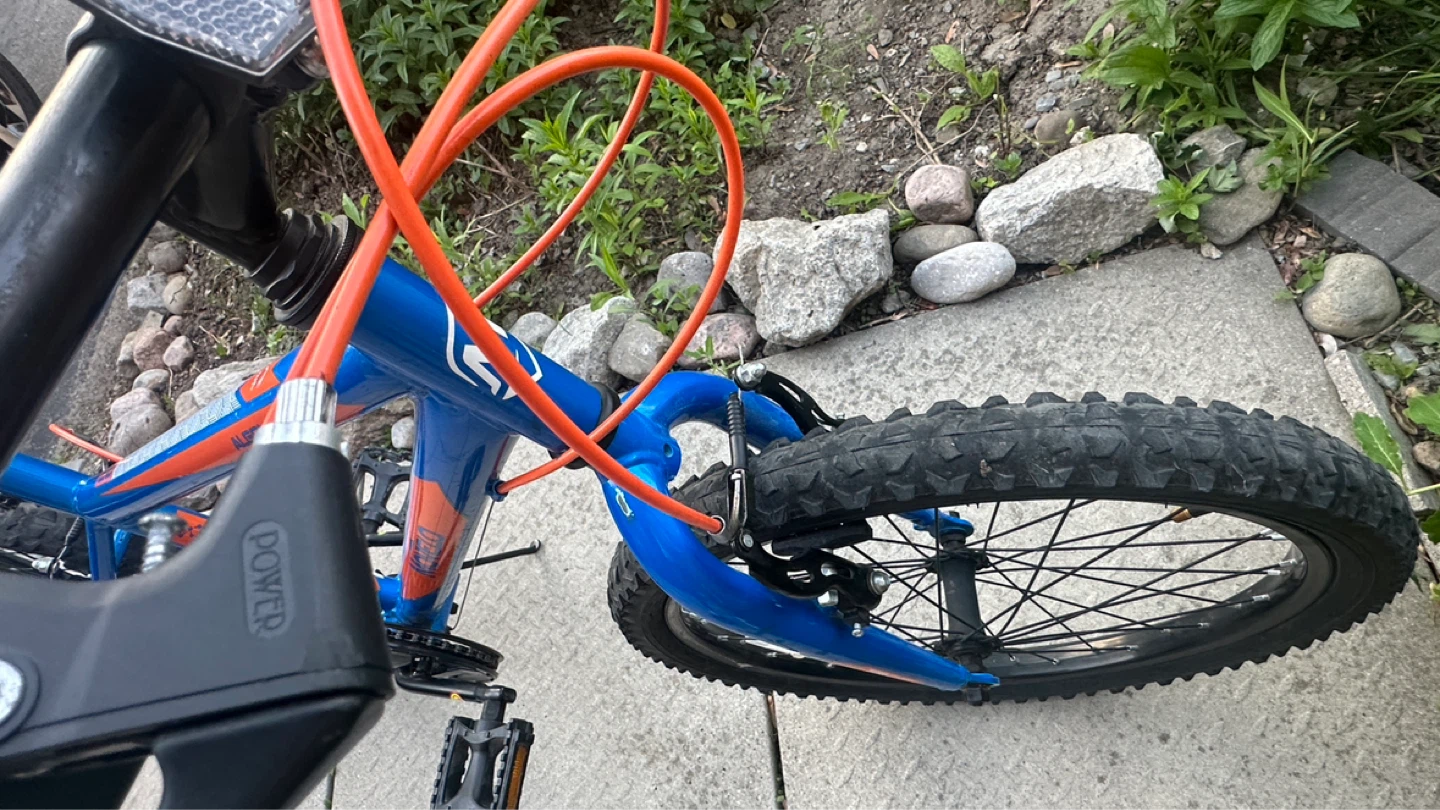 Movelo Algonquin Kids Bike - photo 5