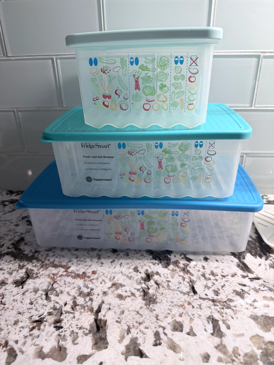 Tupperware FridgeSmart Food Storage Containers - Set of 3
