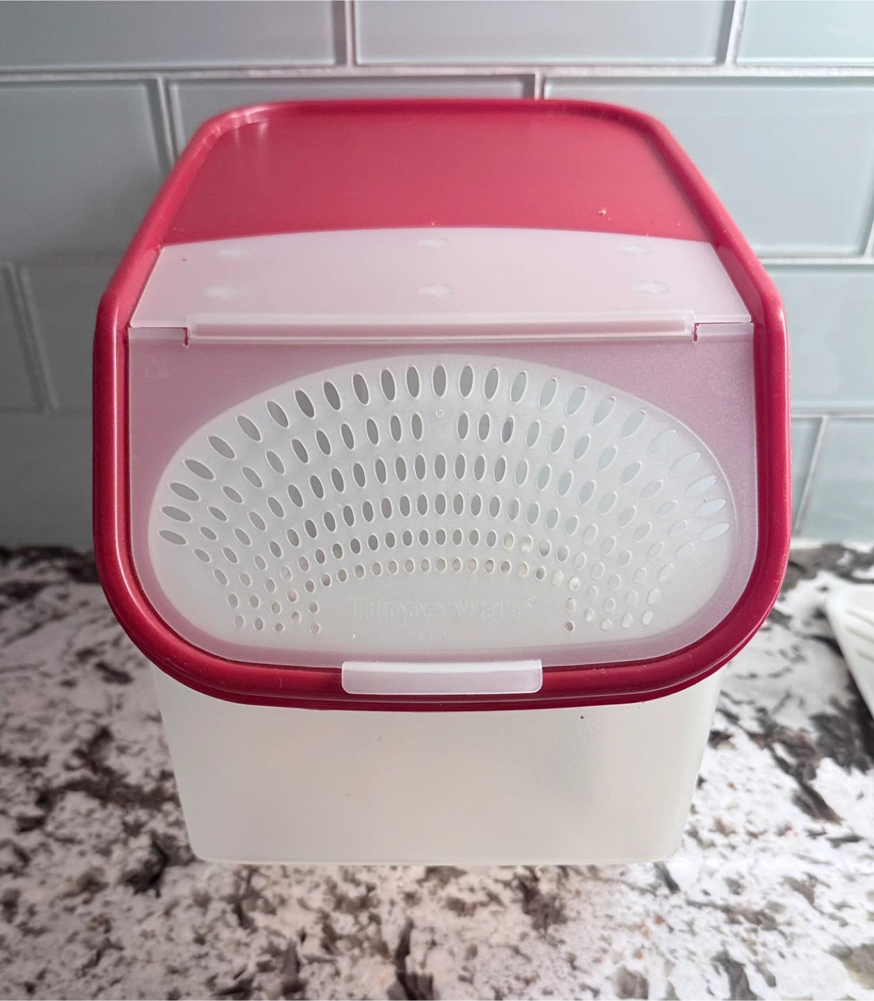 Tupperware Container with Vented Lid