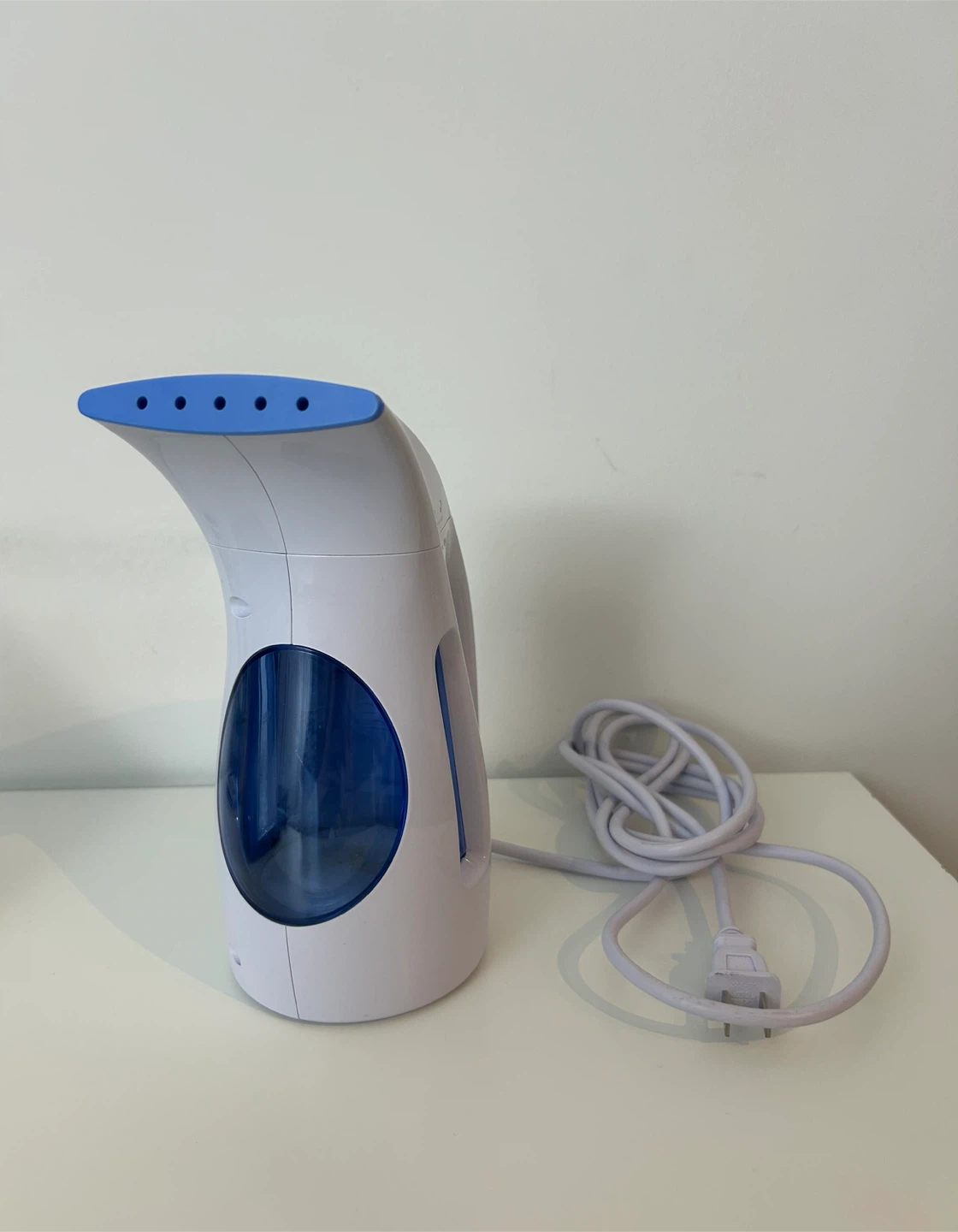 HiLIFE Garment Steamer - Handheld