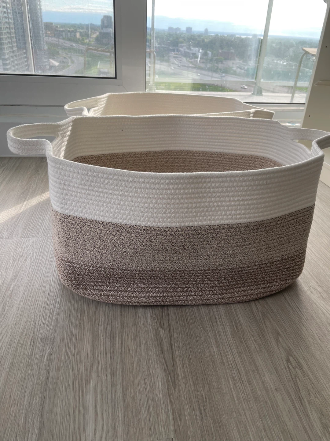 Woven Storage Baskets with Handles (Set of 2)