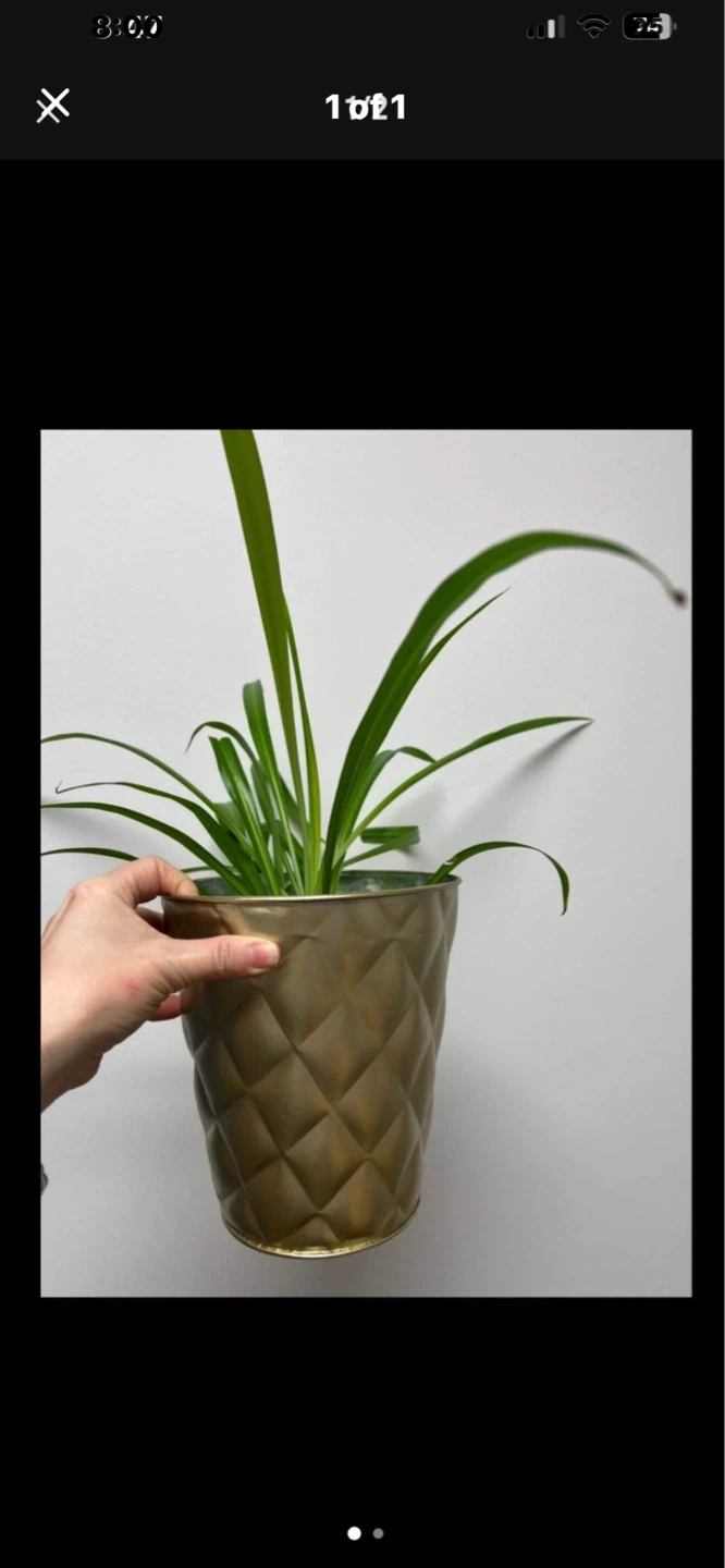 Gold Diamond Pattern Planter Pot