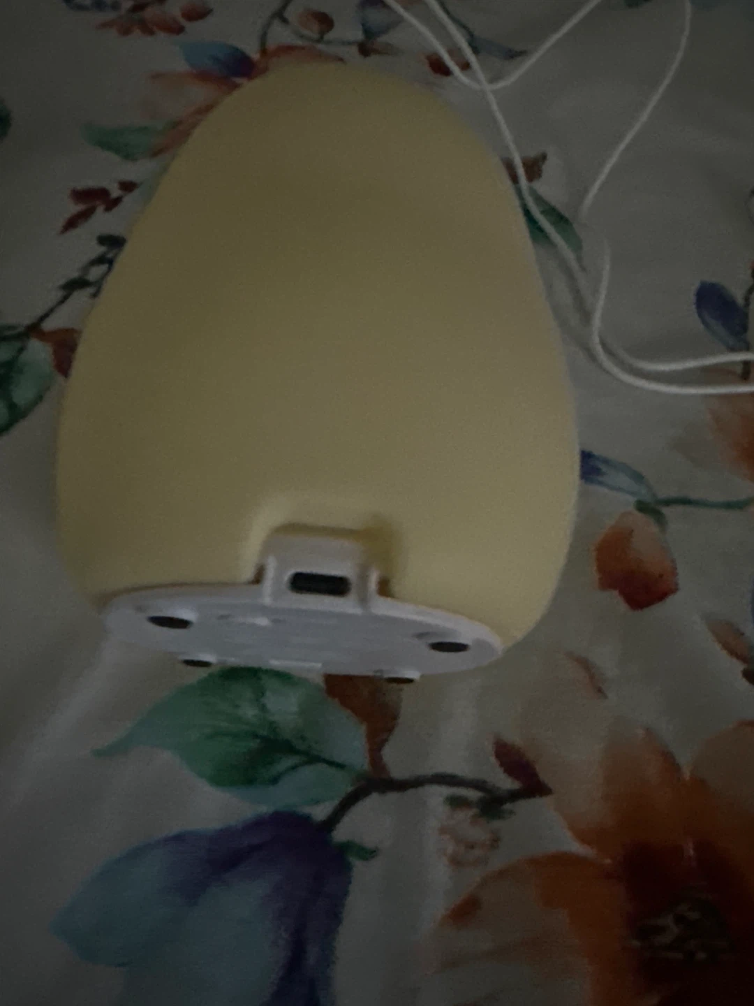 Cute Capybara Night Light - photo 3