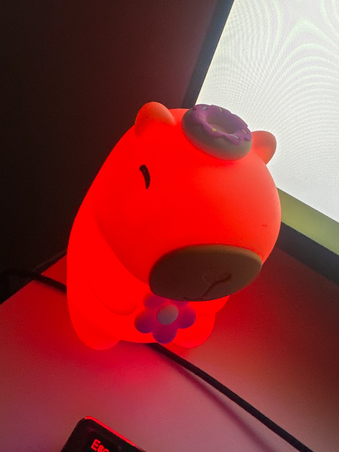 Cute Capybara Night Light