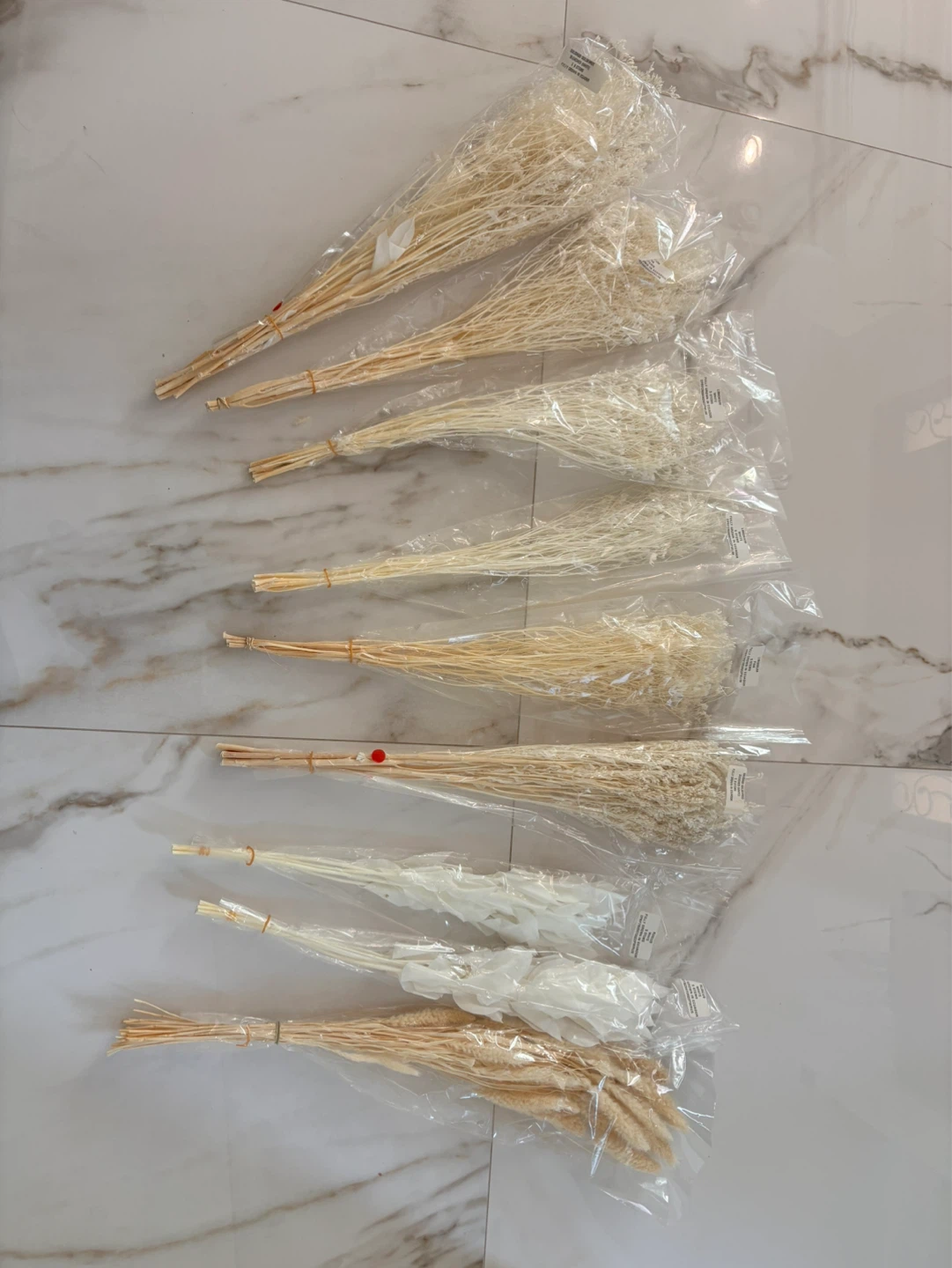 High quality, brand new natural dried flowers