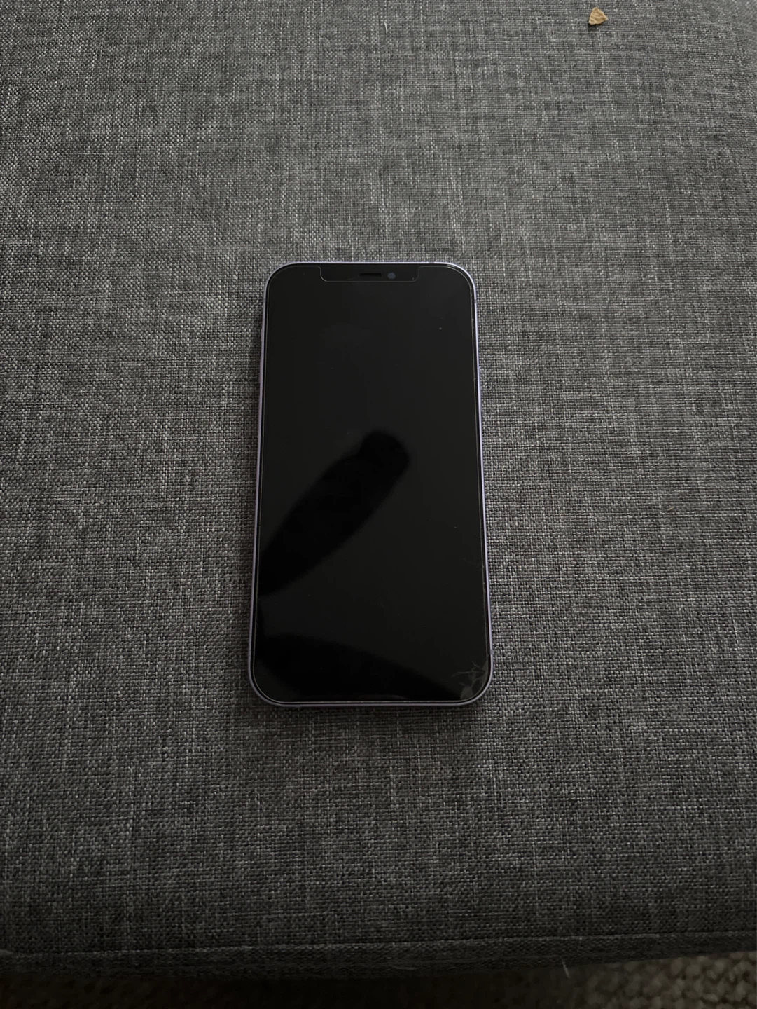 Apple iPhone 12 Purple