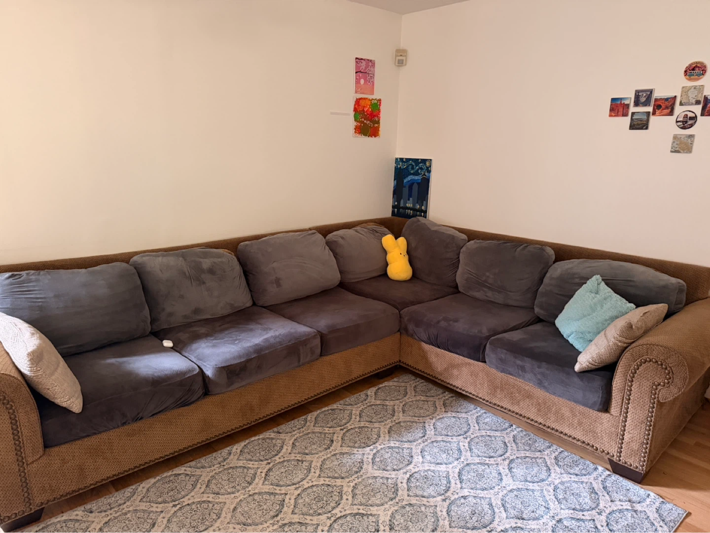Sectional Couch
