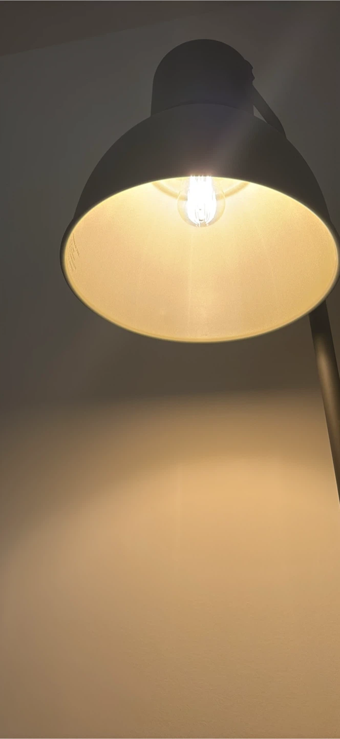 Standing Lamp - photo 5