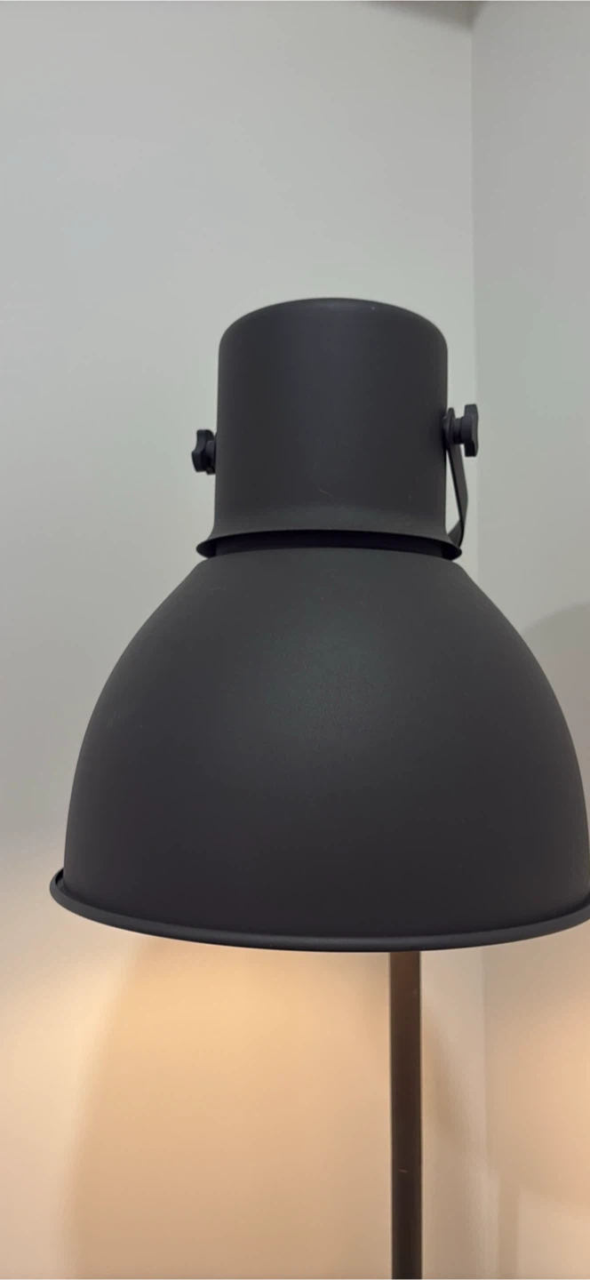 Standing Lamp - photo 4