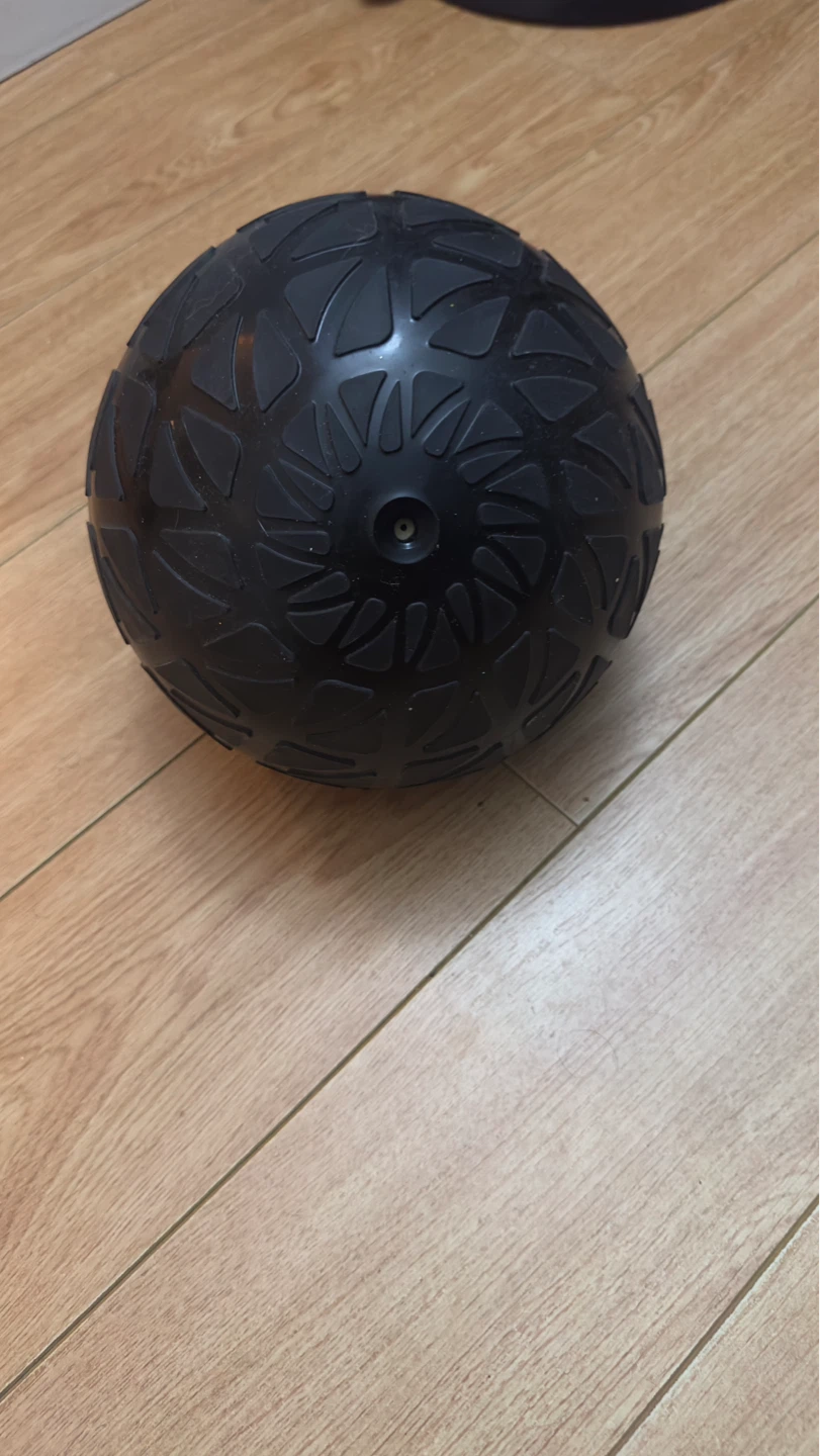 Goodlife Fitness 10 lb Slam Ball