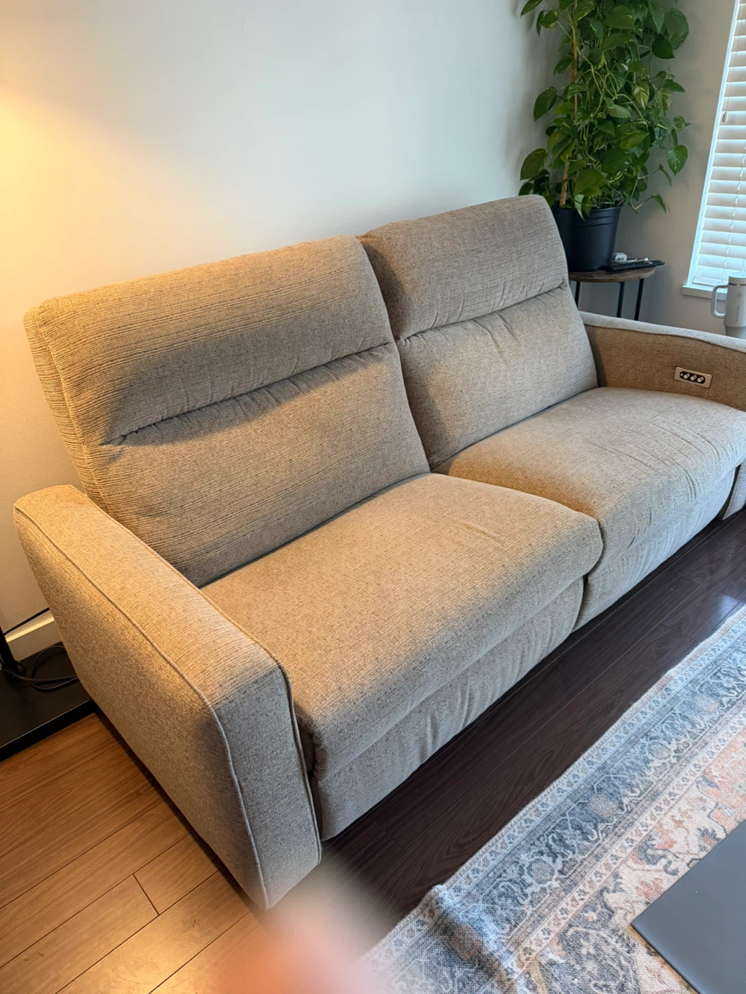 Beige Power Reclining Loveseat Sofa