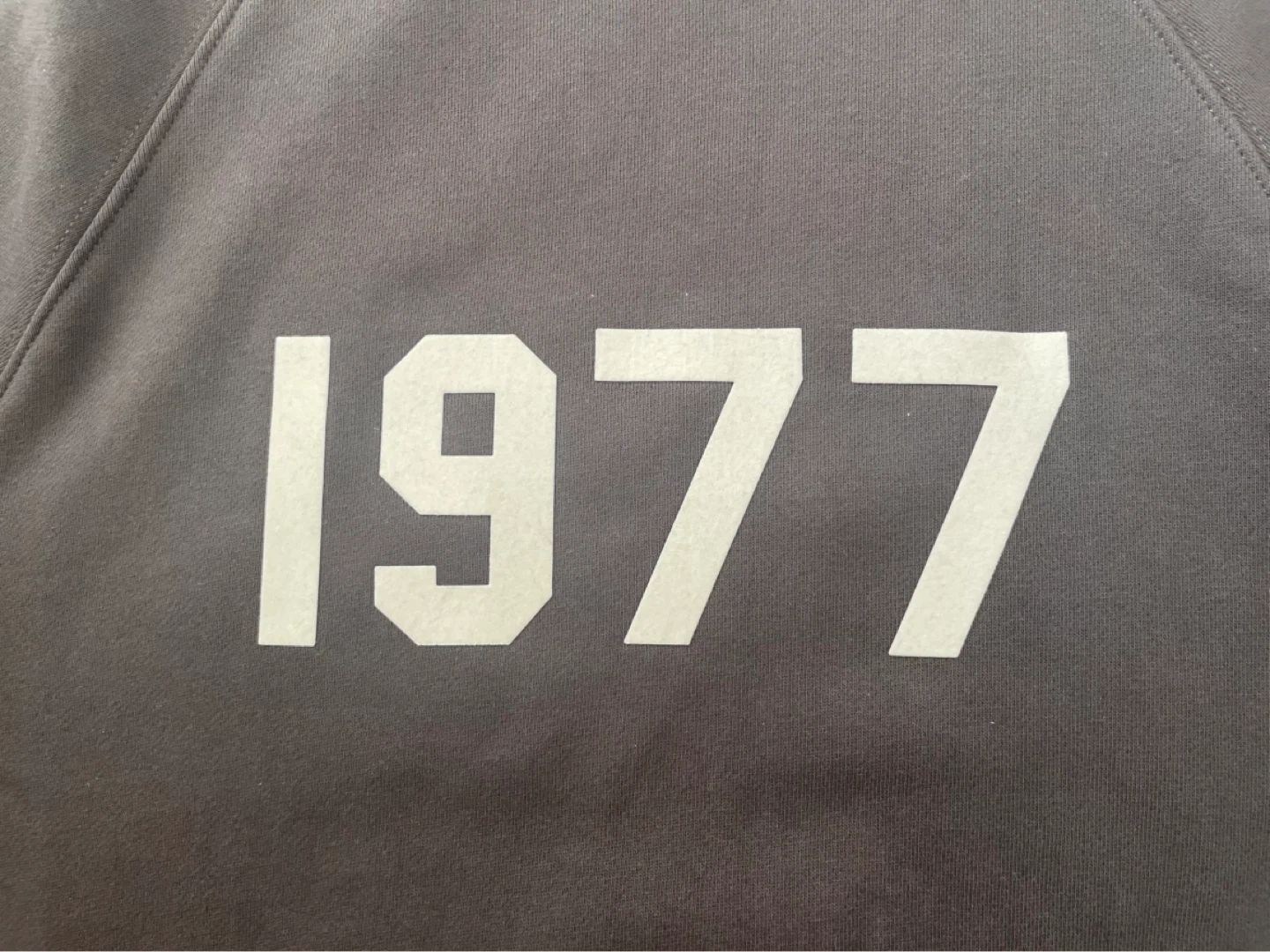 Essentials FOG 1977 Iron Hoodie - photo 2