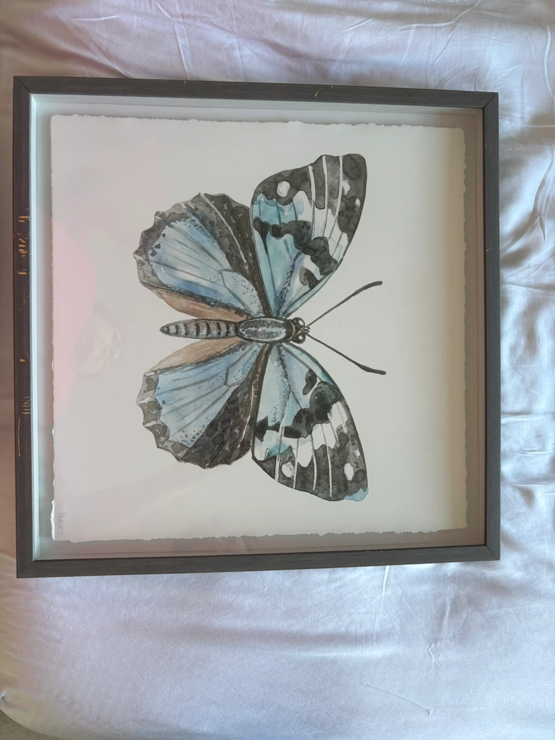 Framed Butterfly Art Print