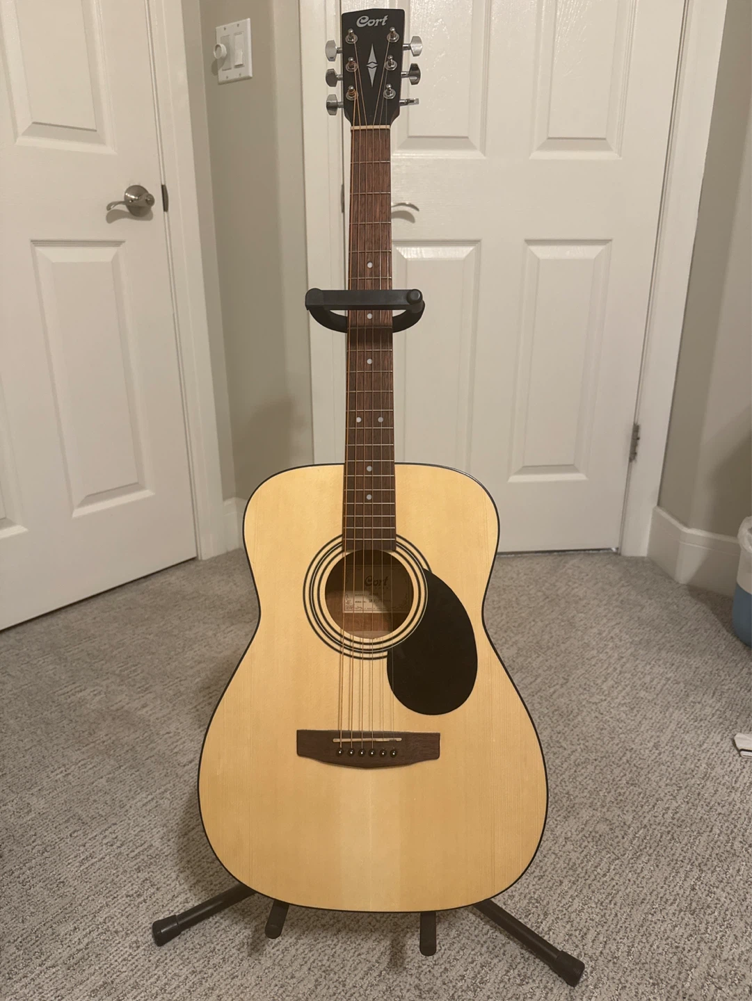 Cort Acoustic Guitar
