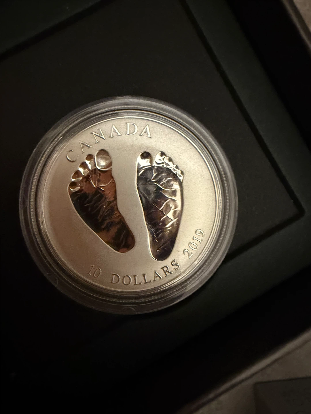 Canada 2019 "Welcome to the World" 10 Dollar Coin - photo 3